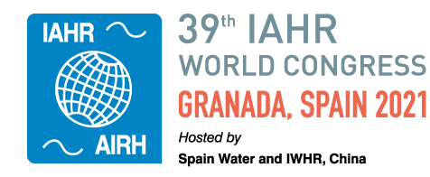 iahr2021-banner-logo